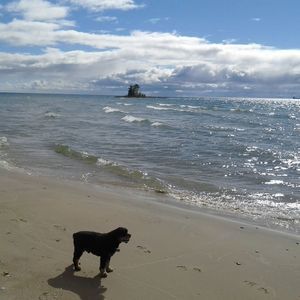 Meet your Posher, Beverly